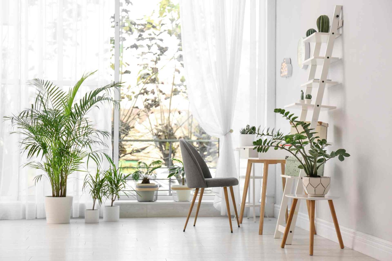 Home office with a trendy light and airy interior design style featuring houseplants and sheer shades  at Interior Re-Styling near Council Bluffs, IA